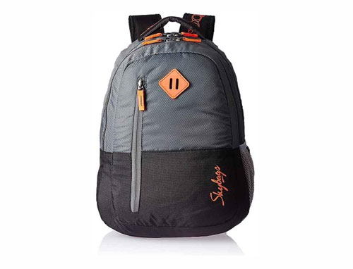 Skybags Century Laptop Backpack